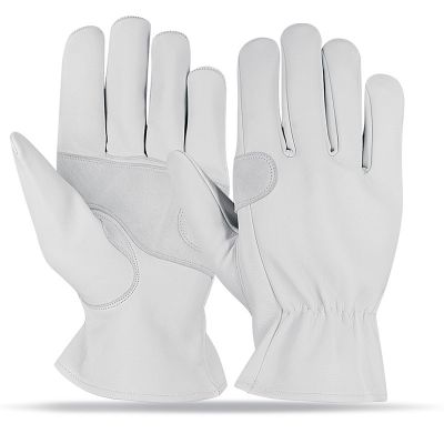 Driver Gloves