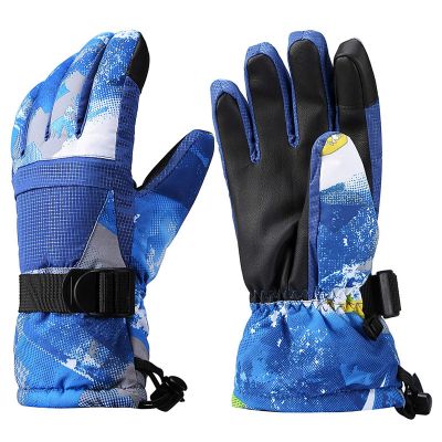 Ski Gloves